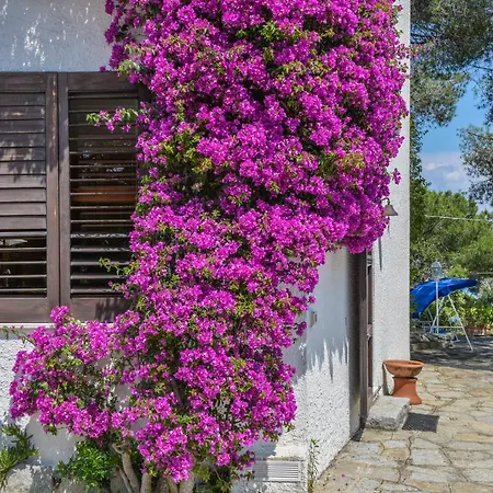 Villa Ottagonale *